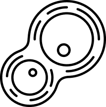 Cell spliting