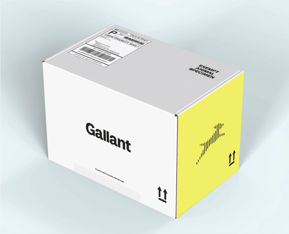 Gallant Box