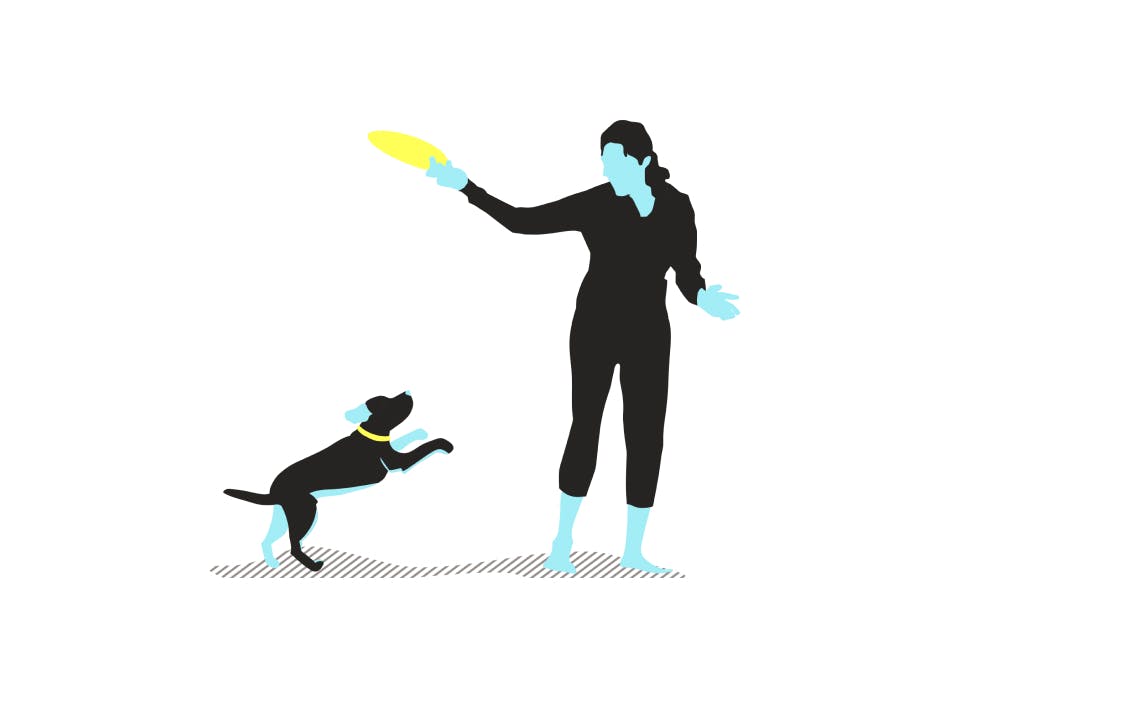 illustration-dog-woman-frisbee