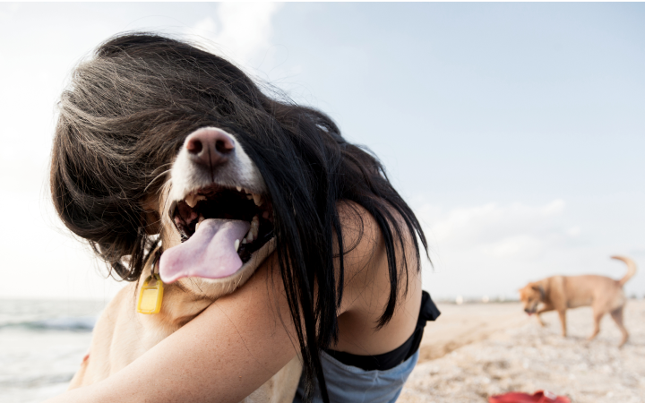 dog-girl-hugging-beach-mobile